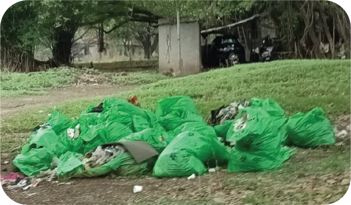 Volunteers gathering and sorting waste into bags in a forested area